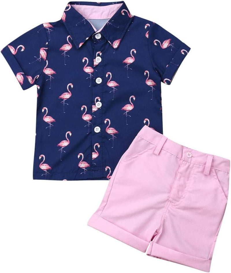 Toddler Baby Boys Summer Shorts Set Floral Outfits Button down Shirt Top Bermuda Shorts Hawaiian Clothes 2 PCS